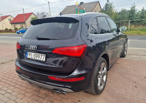 Audi SQ5 cena 106700 przebieg: 145000, rok produkcji 2013 z Wielichowo małe 301